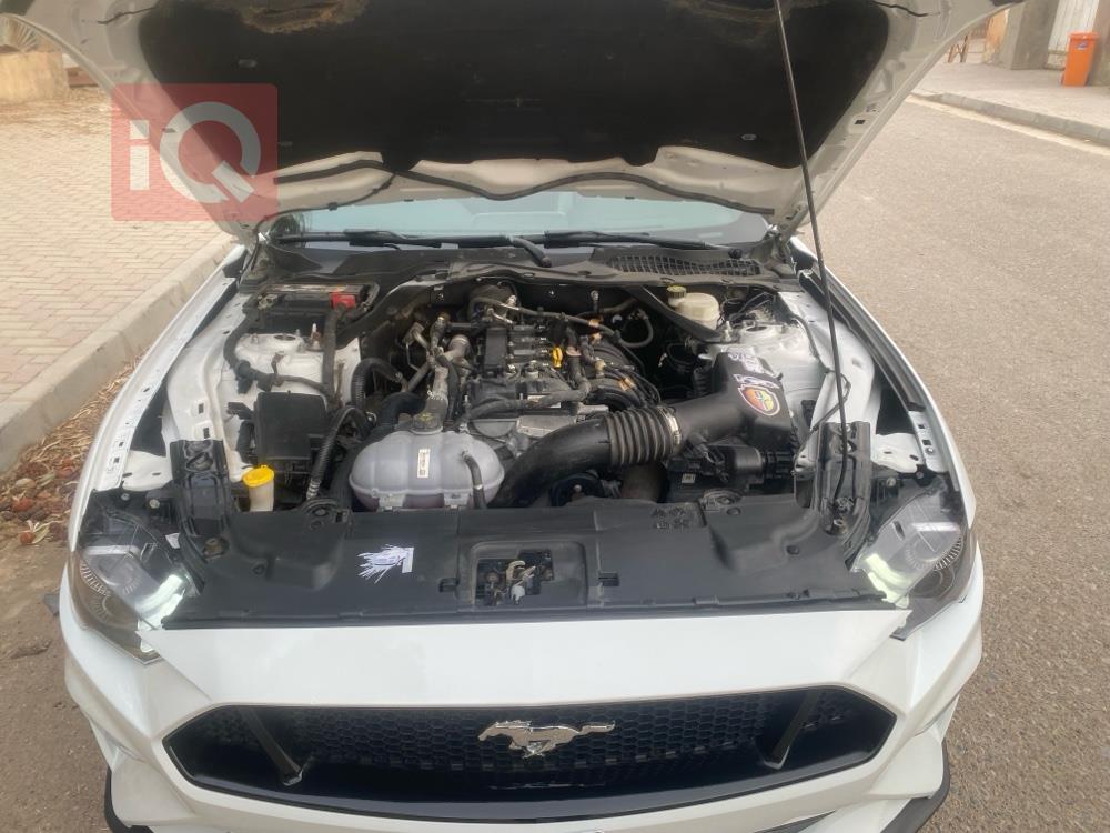 فۆرد مۆستانگ